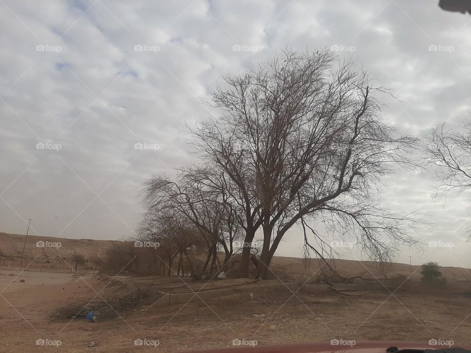 Please make me happy, I am poor, I need your help with support