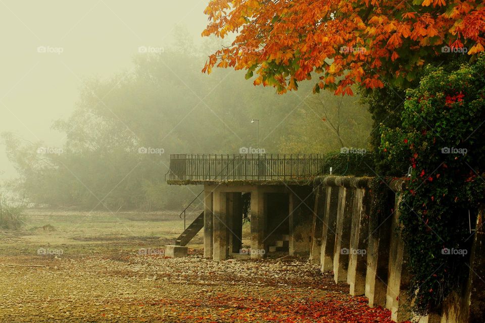 Herbstfarben am Hafen