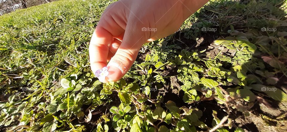 My little flower 🌸