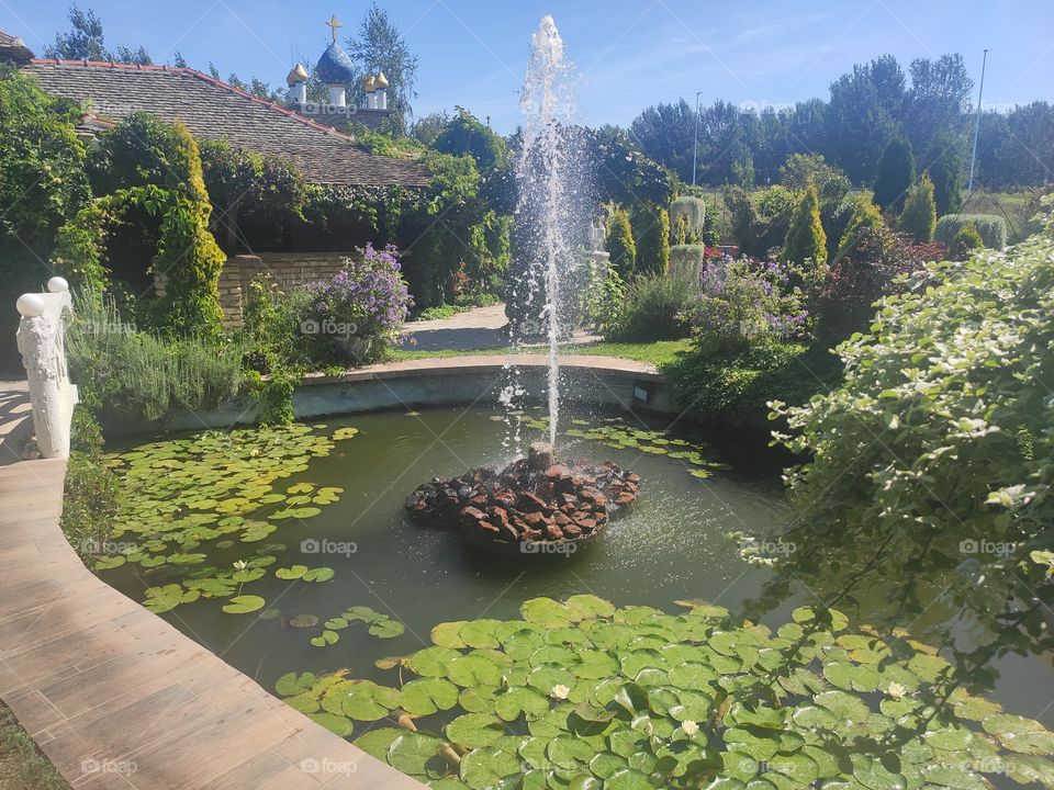 Pond and fountain in garden