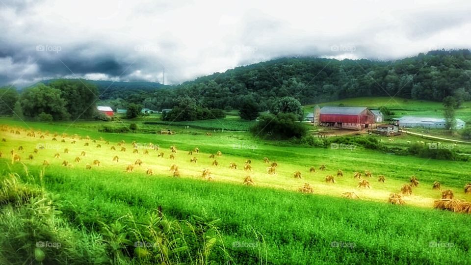 Charming farm with hay bales