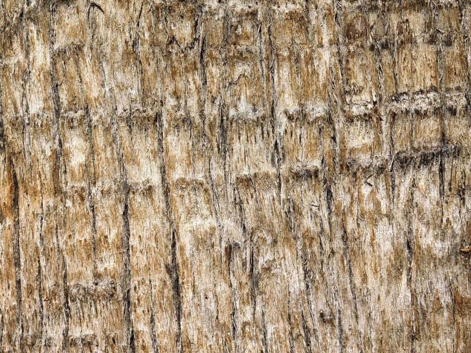 wood texture