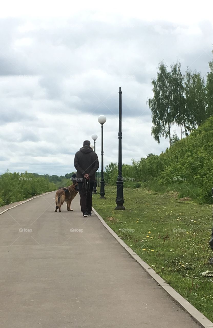 Прогулка мужчины по набережной летом с собакой породы немецкая овчарка
