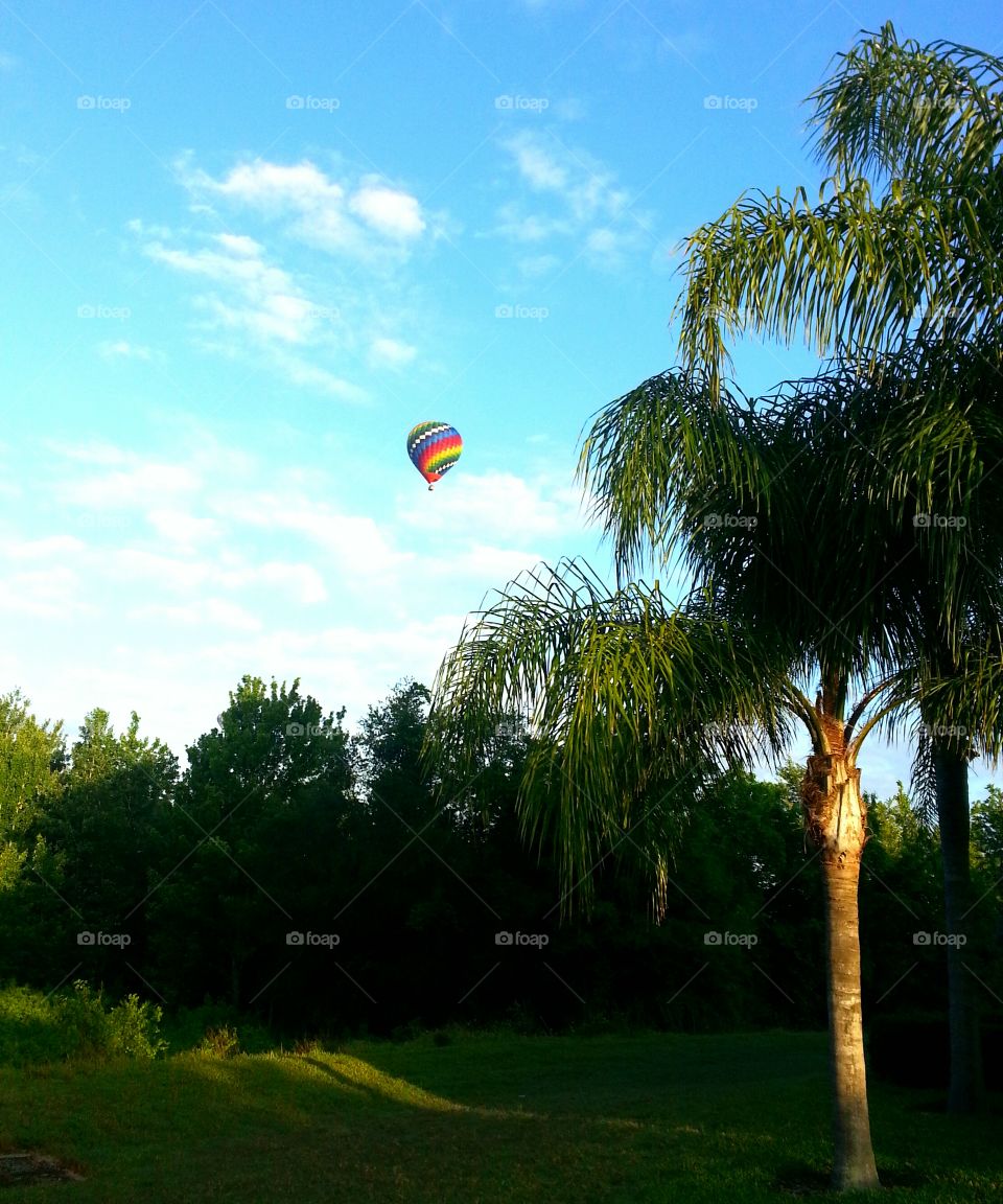 Morning Balloon Ride