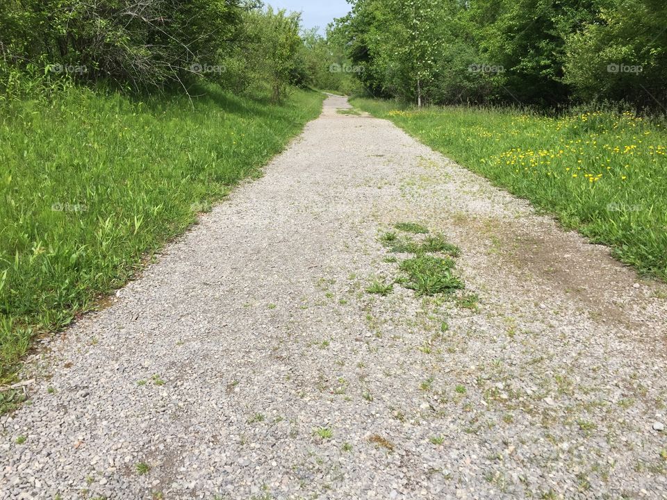 Gravel path
Erie Canal

