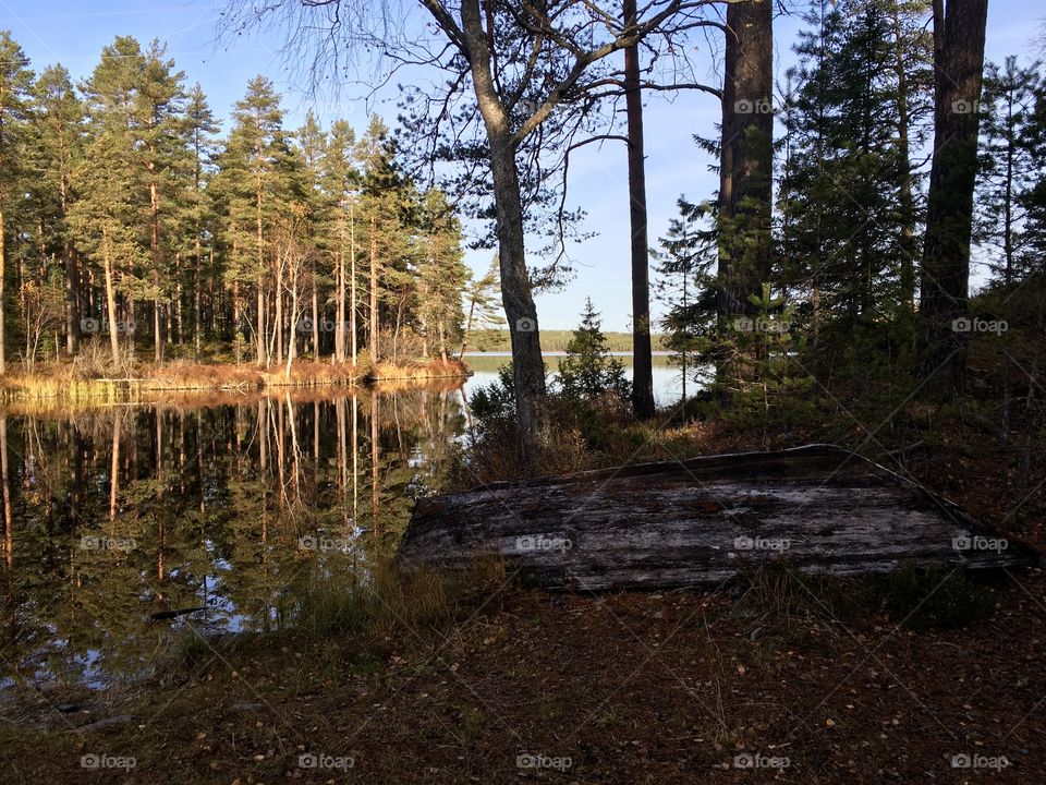 Old abandoned boat. Old abandoned boat