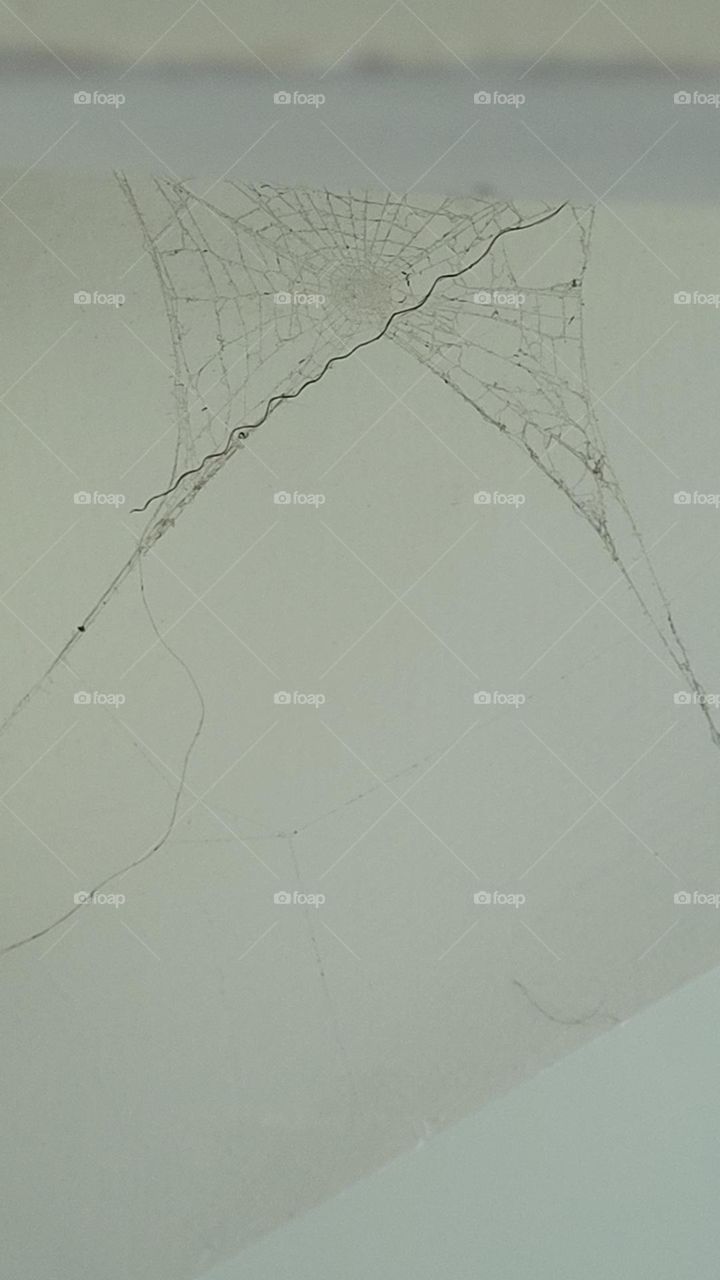 the original web made by a spider