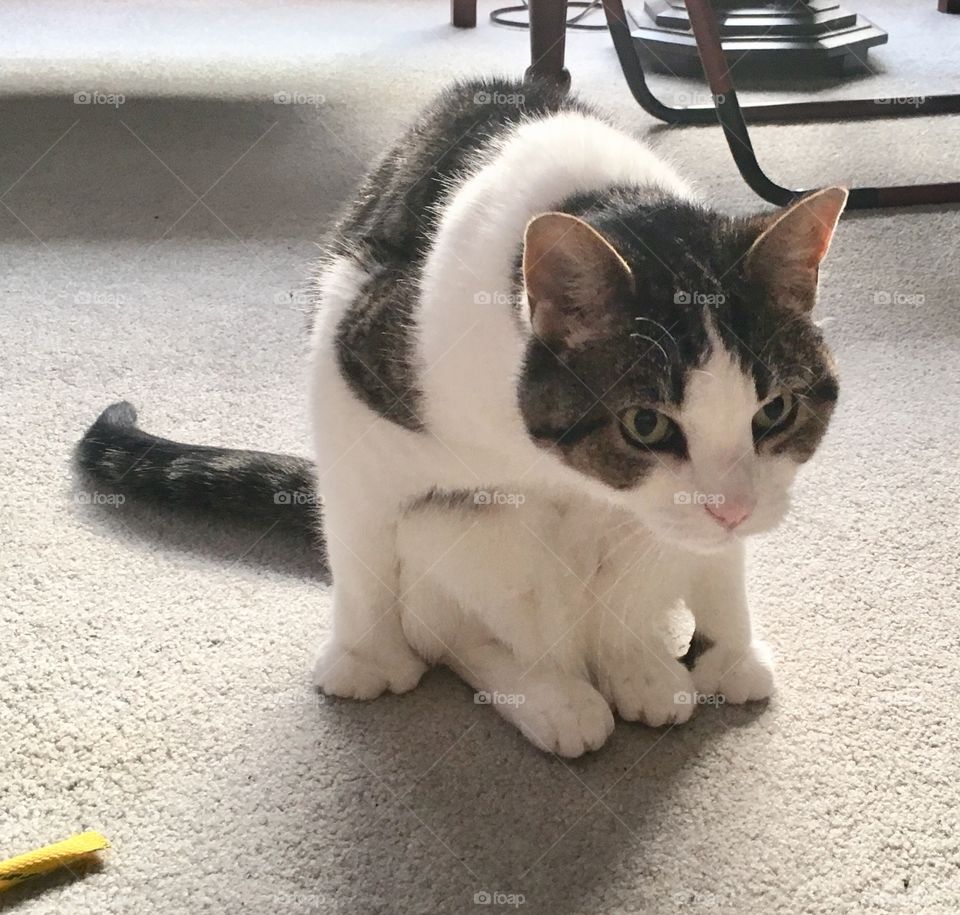 She sits like this to wash her belly