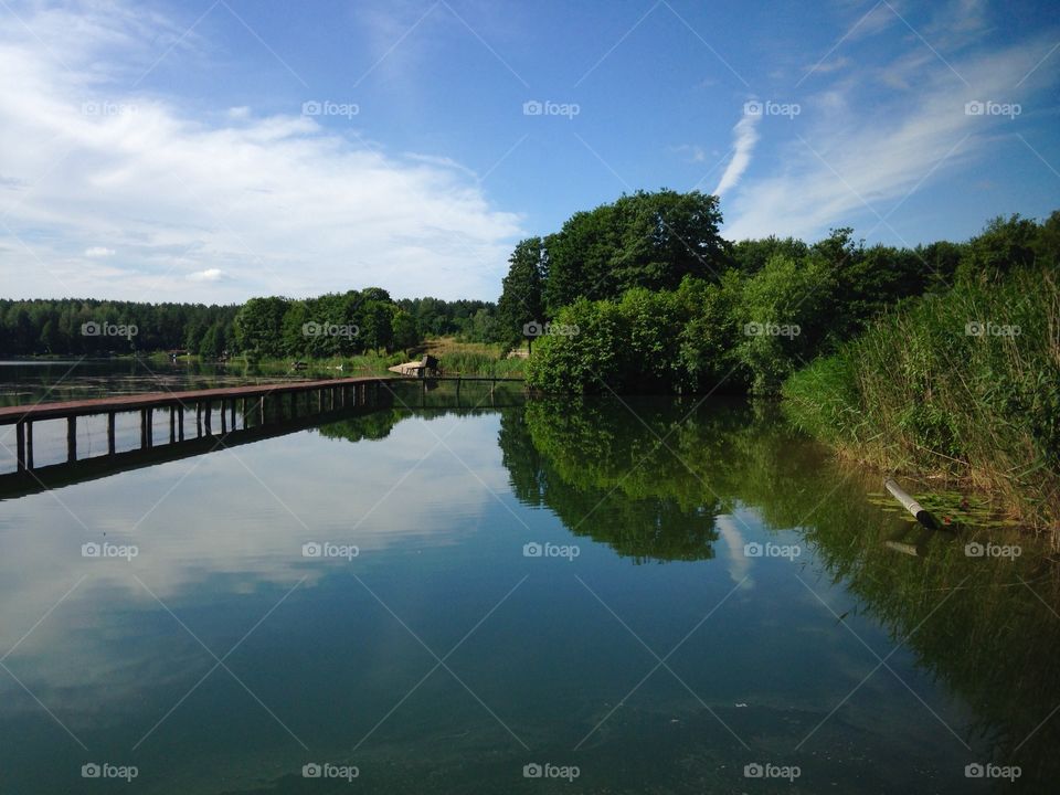 Trees and pier reflected on idyllic lake