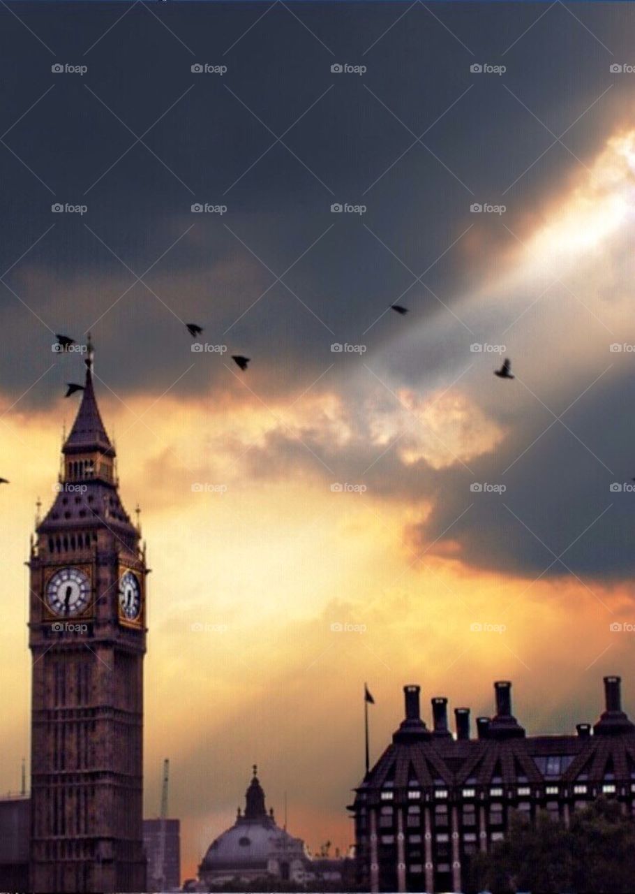 Big Ben birds 