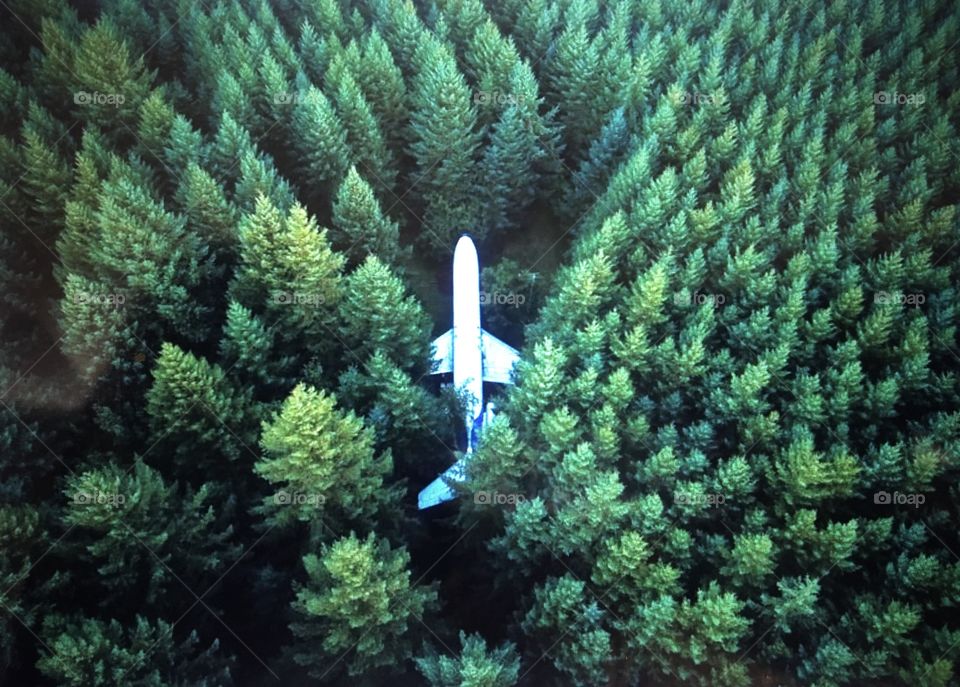 What an amazing scene!!!