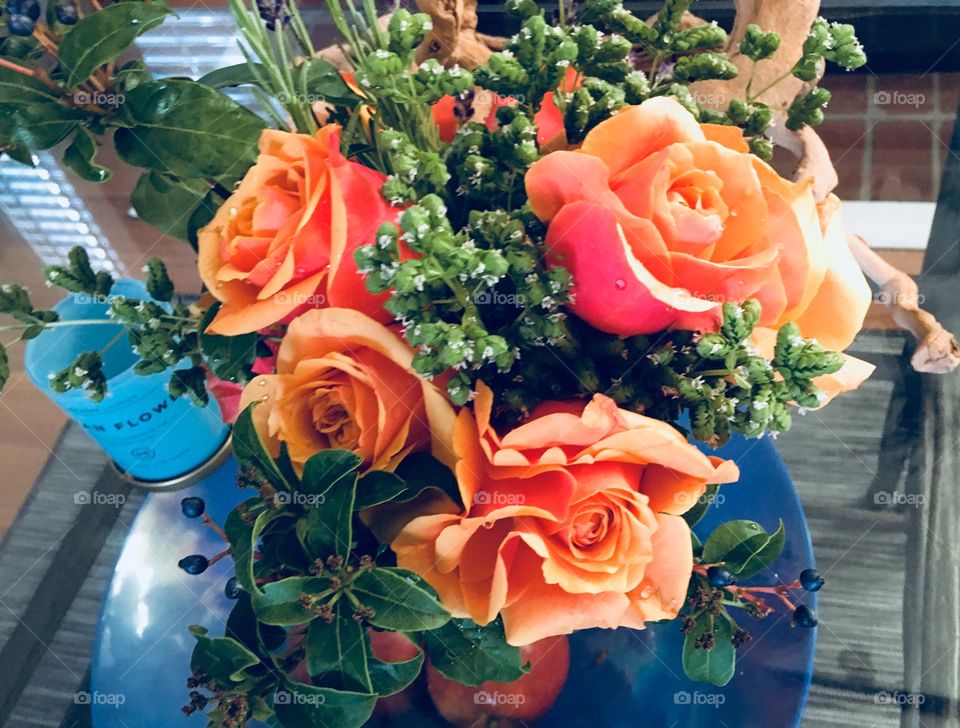 Orange roses 