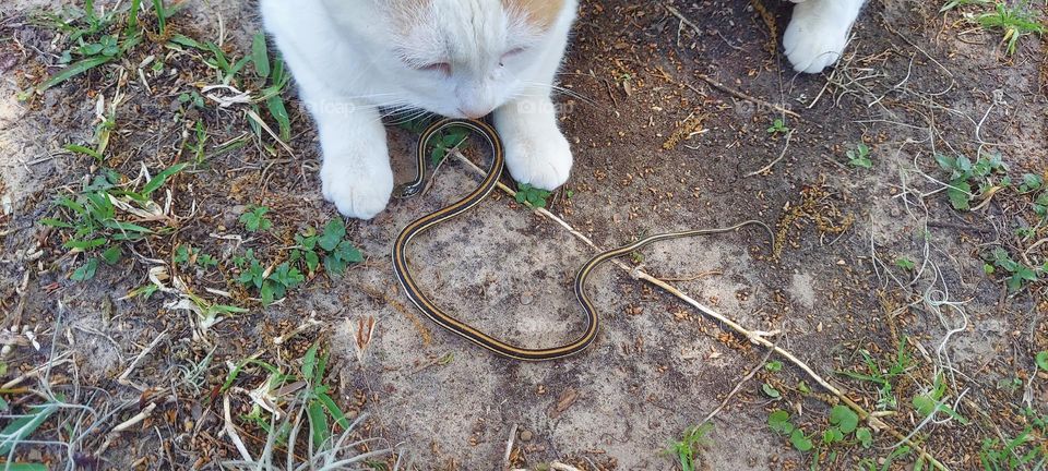 Look what She caught!