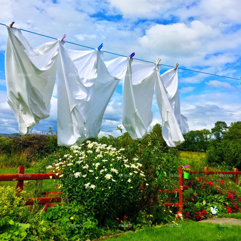 Nature's Laundry. Co. Sligo, Ireland