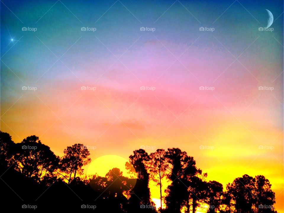 Sunseting over the forest