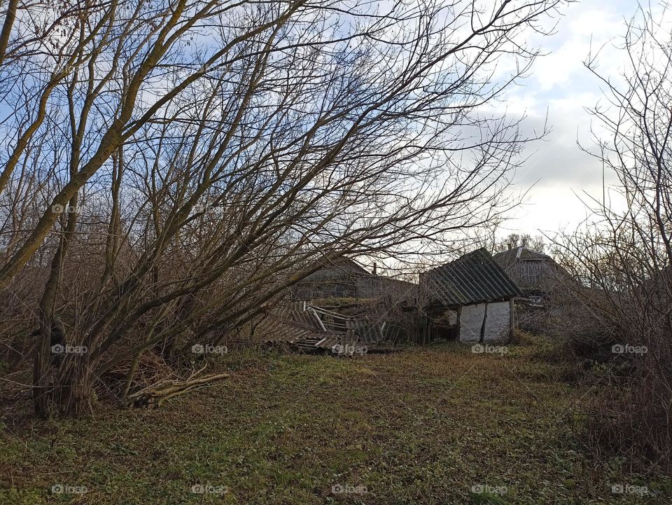 Old barn