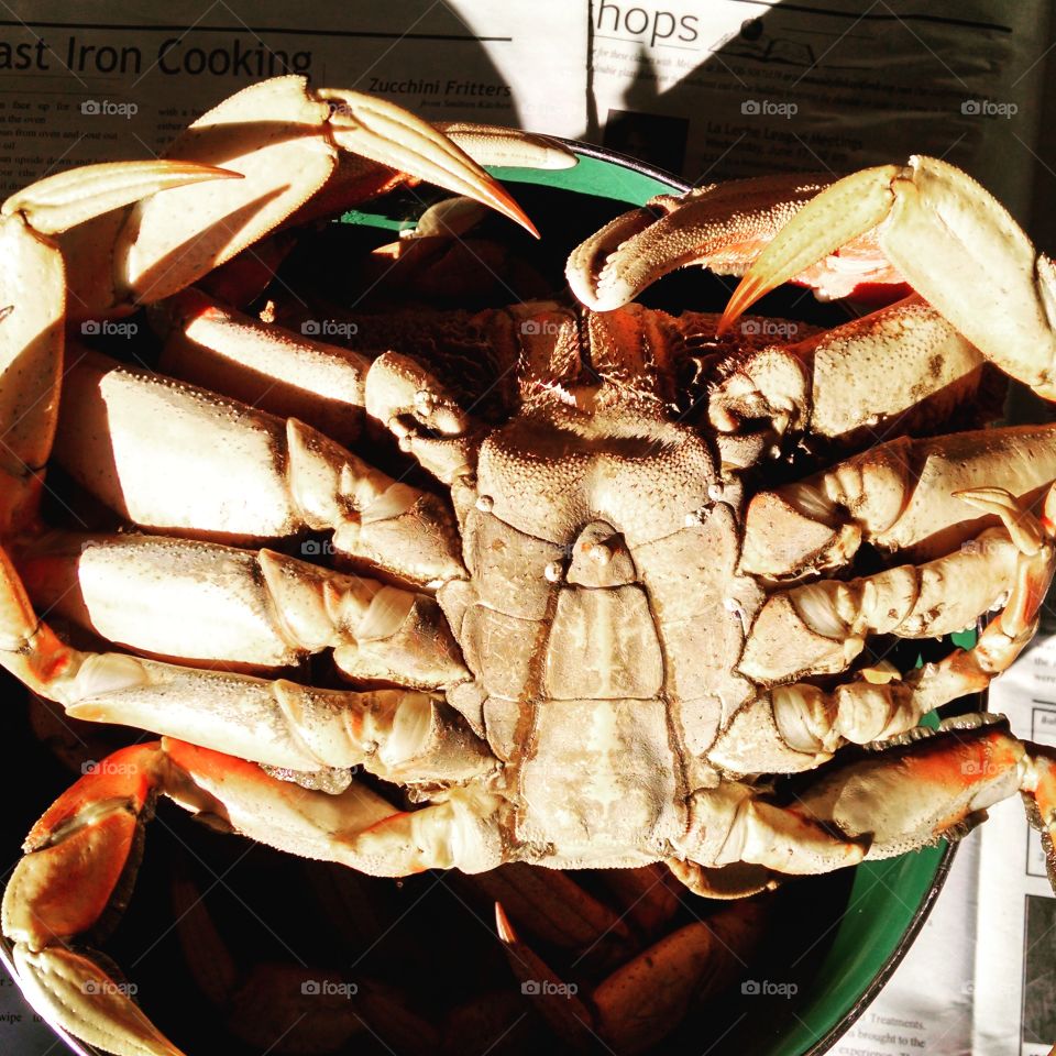 crab boil