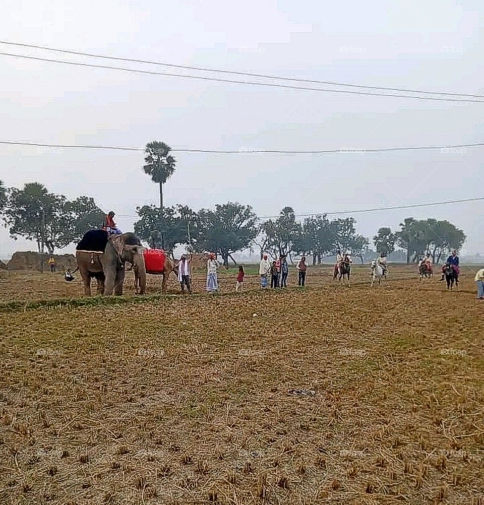 A most beautiful and attractive view in the farm.