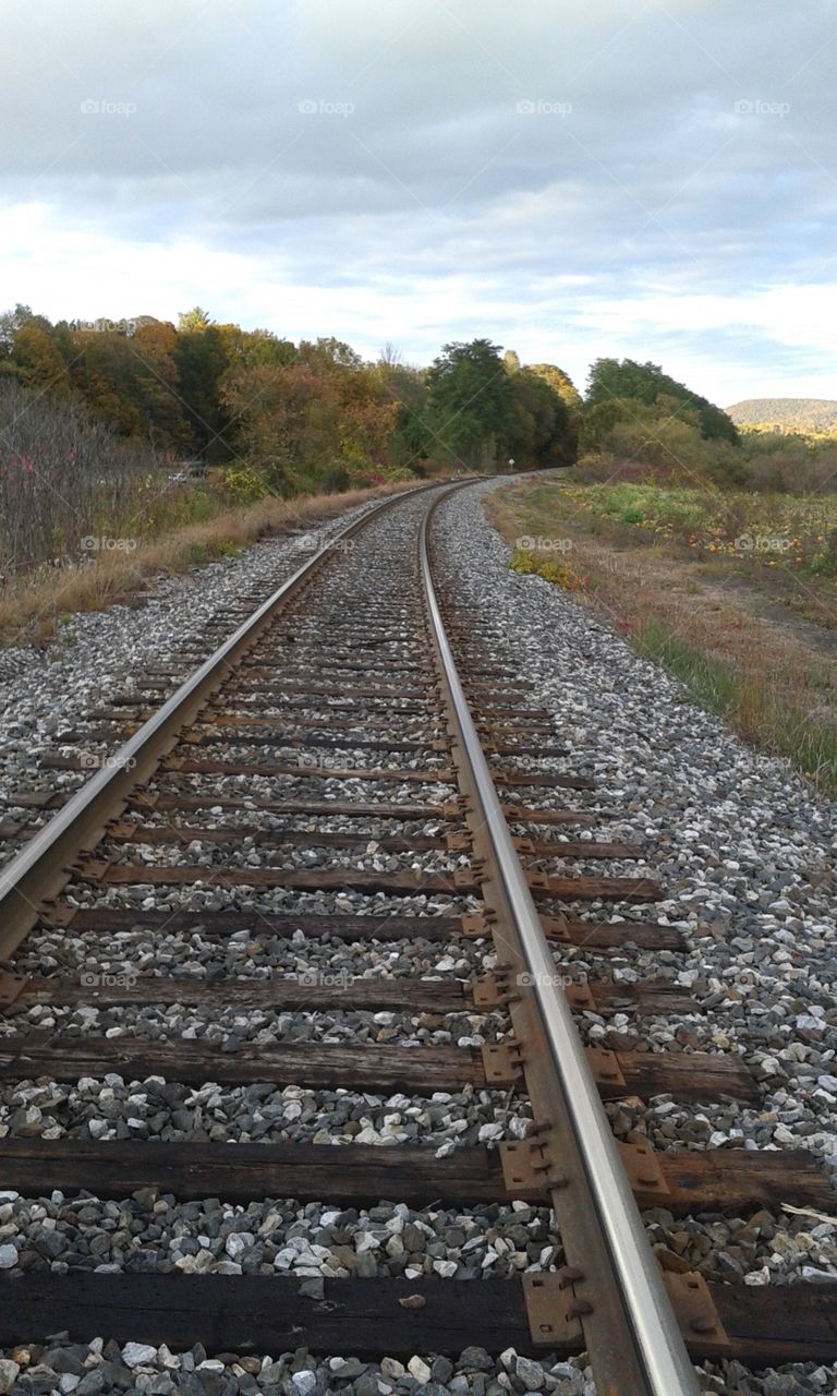 Railroad Scenery