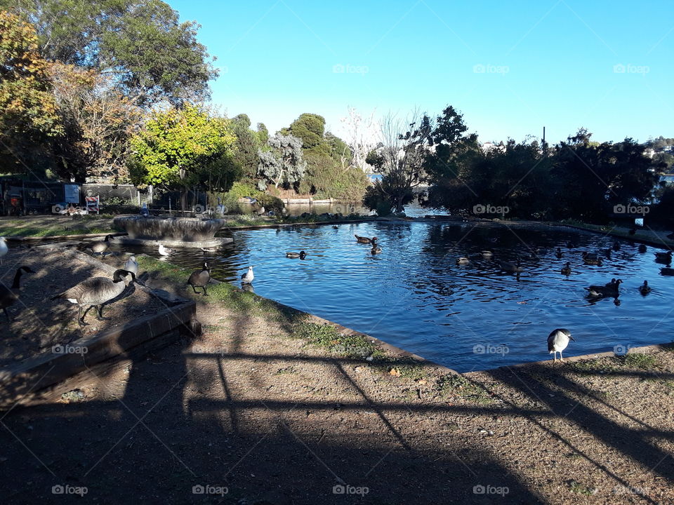 Lake Merritt Oakland California