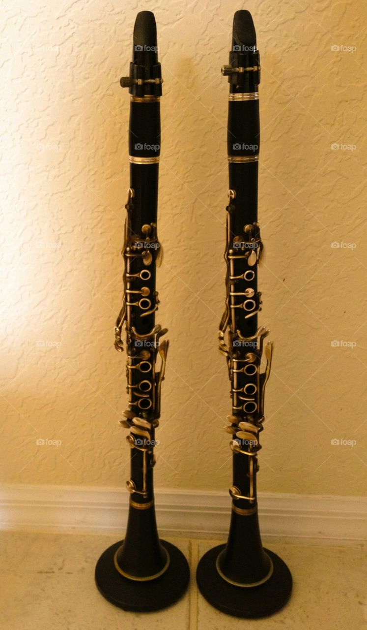 Twin clarinets