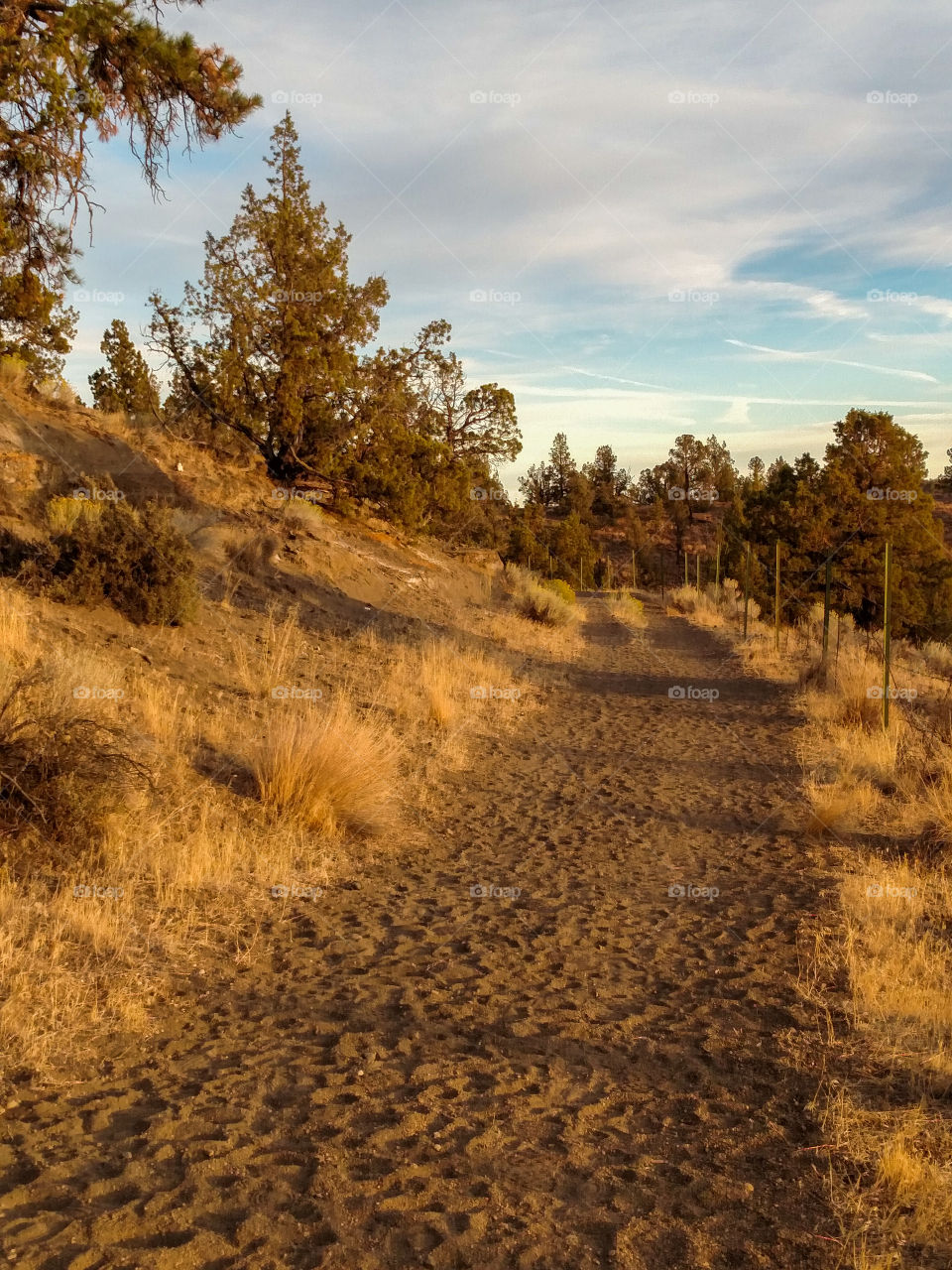 Pathway Thru The High Desert Of Central Oregon