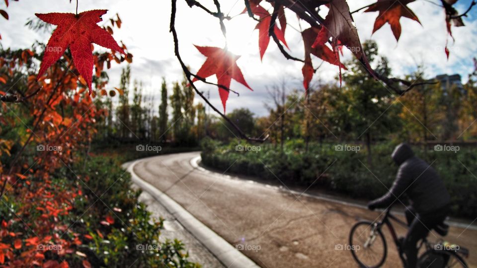 Otoño Autumn Madrid rio