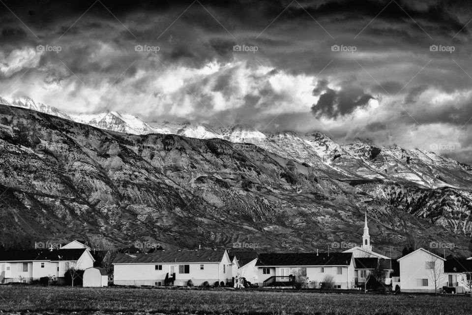 Scenic view of nature