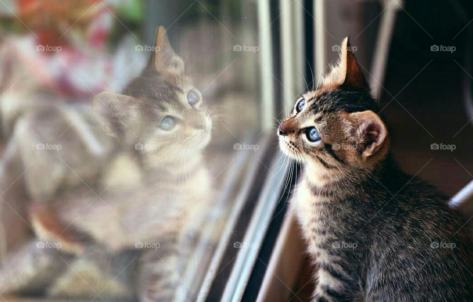 seeing your riflex allwyes makes you strang