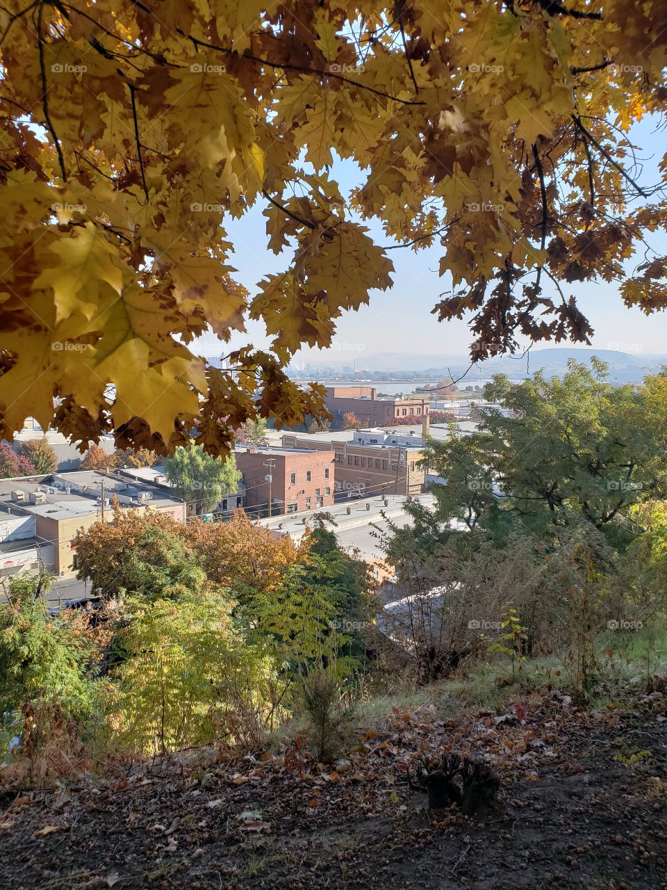 view of city by the river