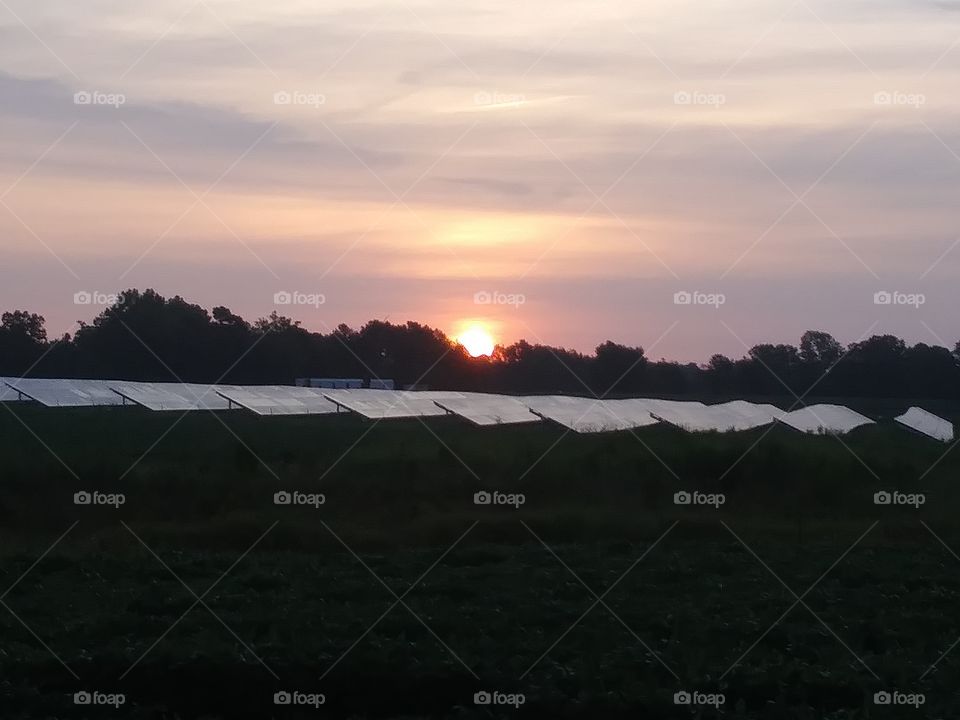 southern sun rise over the solar farm!