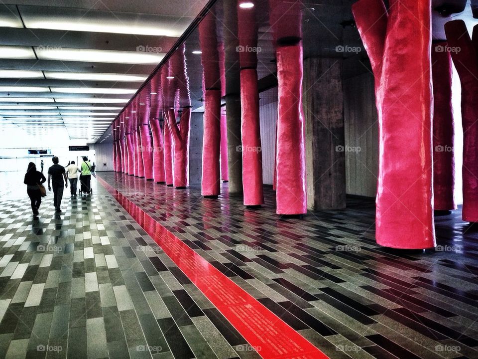 Indoor Trees, sort of