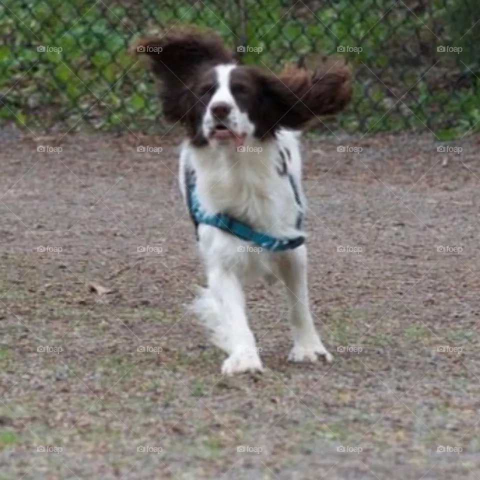 Flaps up!