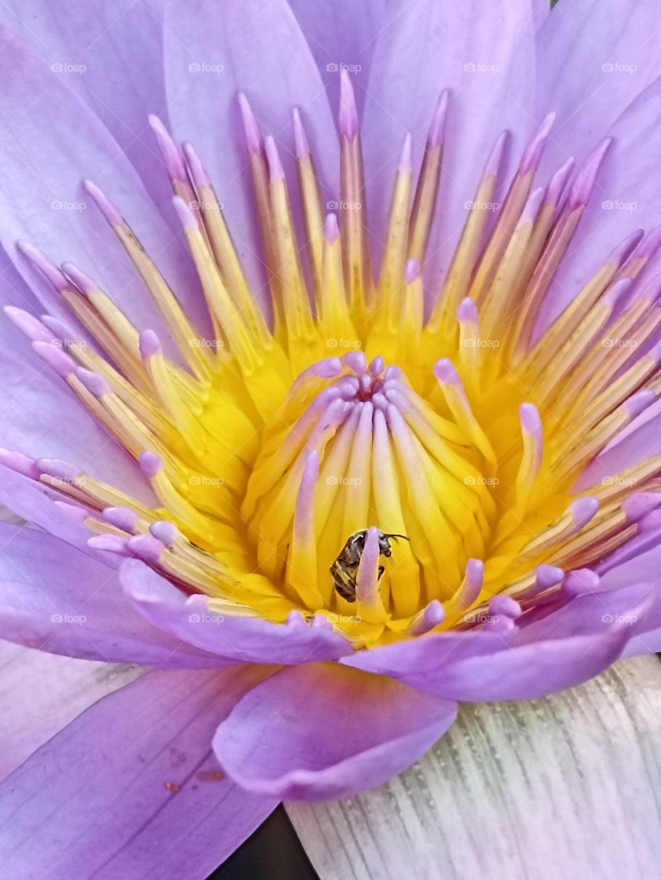 shy in front of 📷📷📷