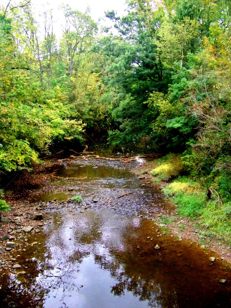 Flowing creeks of Ohio