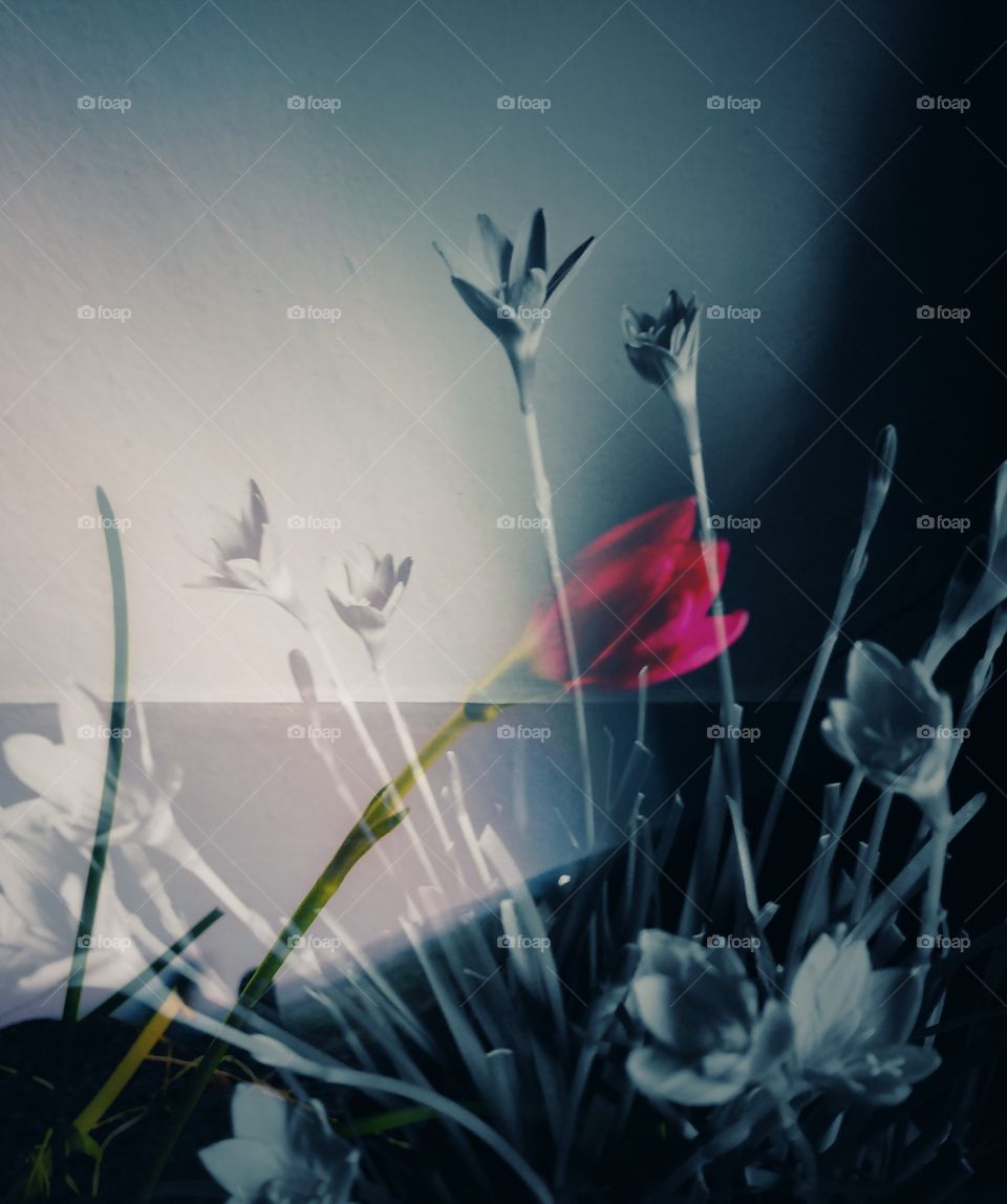 Title- Divine Guidance often comes when horizon is the blackest
Description- Blending of two images