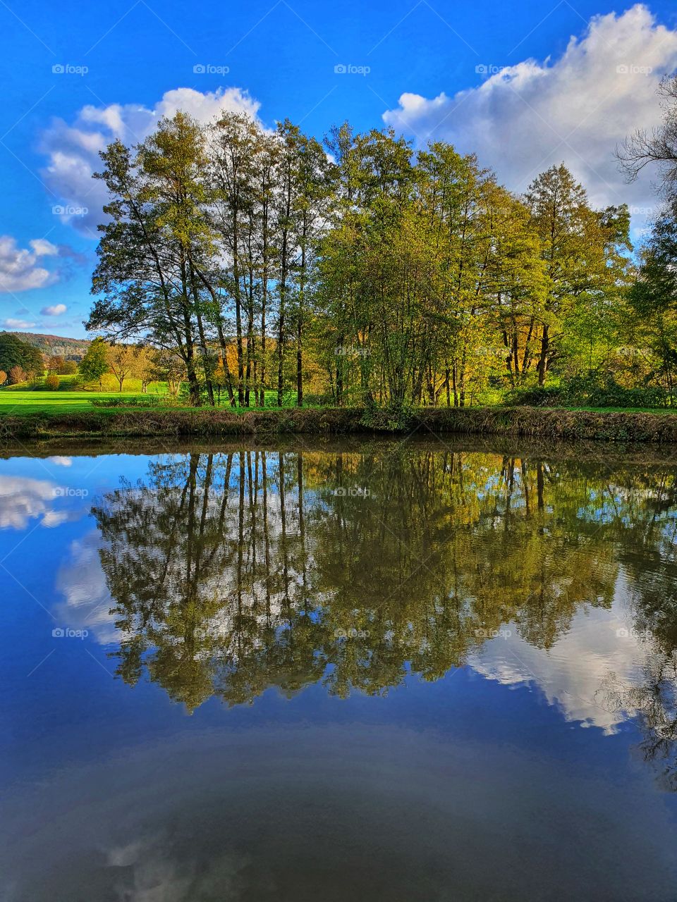 trees are mirrored in lake