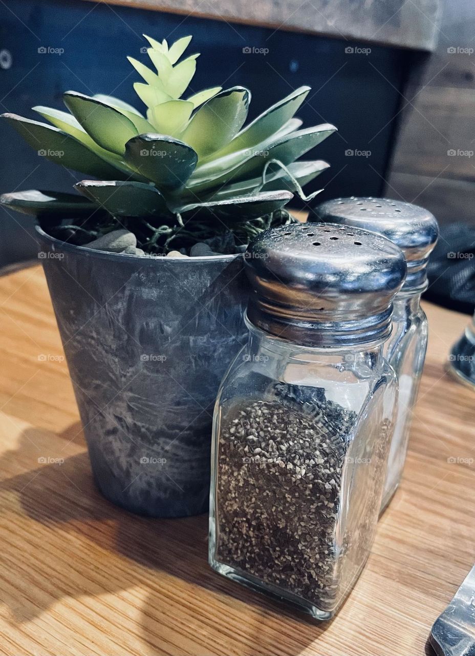 Fake succulent plant, and a functional glass set of salt and pepper shakers. 