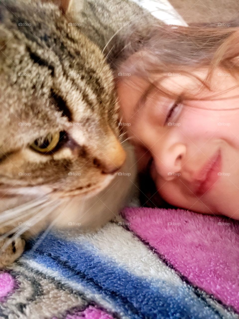 cat and child face to face