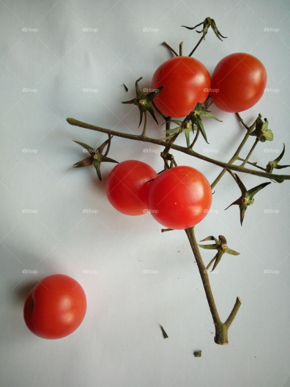 tomatoes