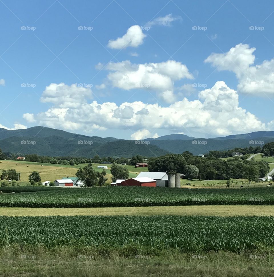 Farmland rural Virginia 