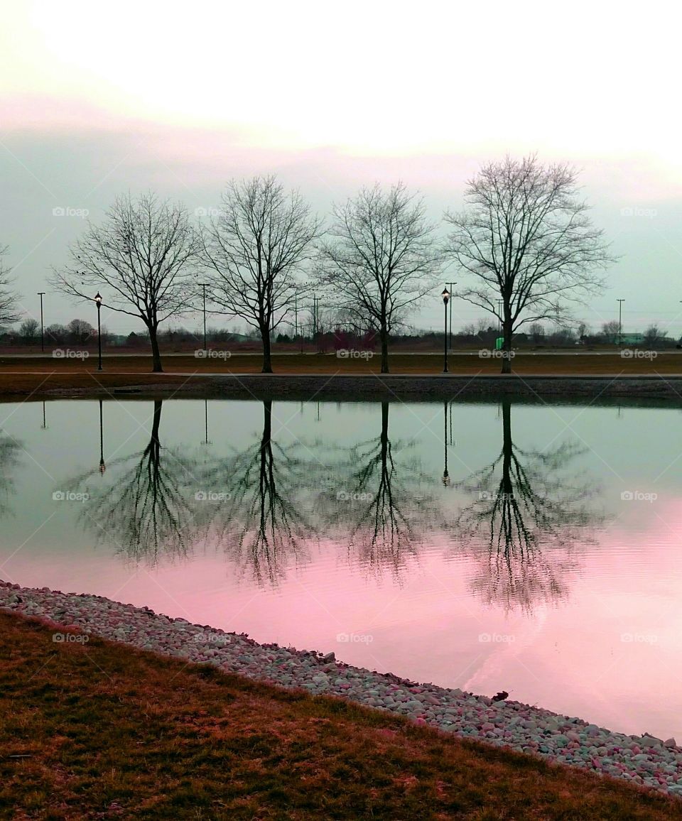 Sunset Lake trees water Columbus Ohio