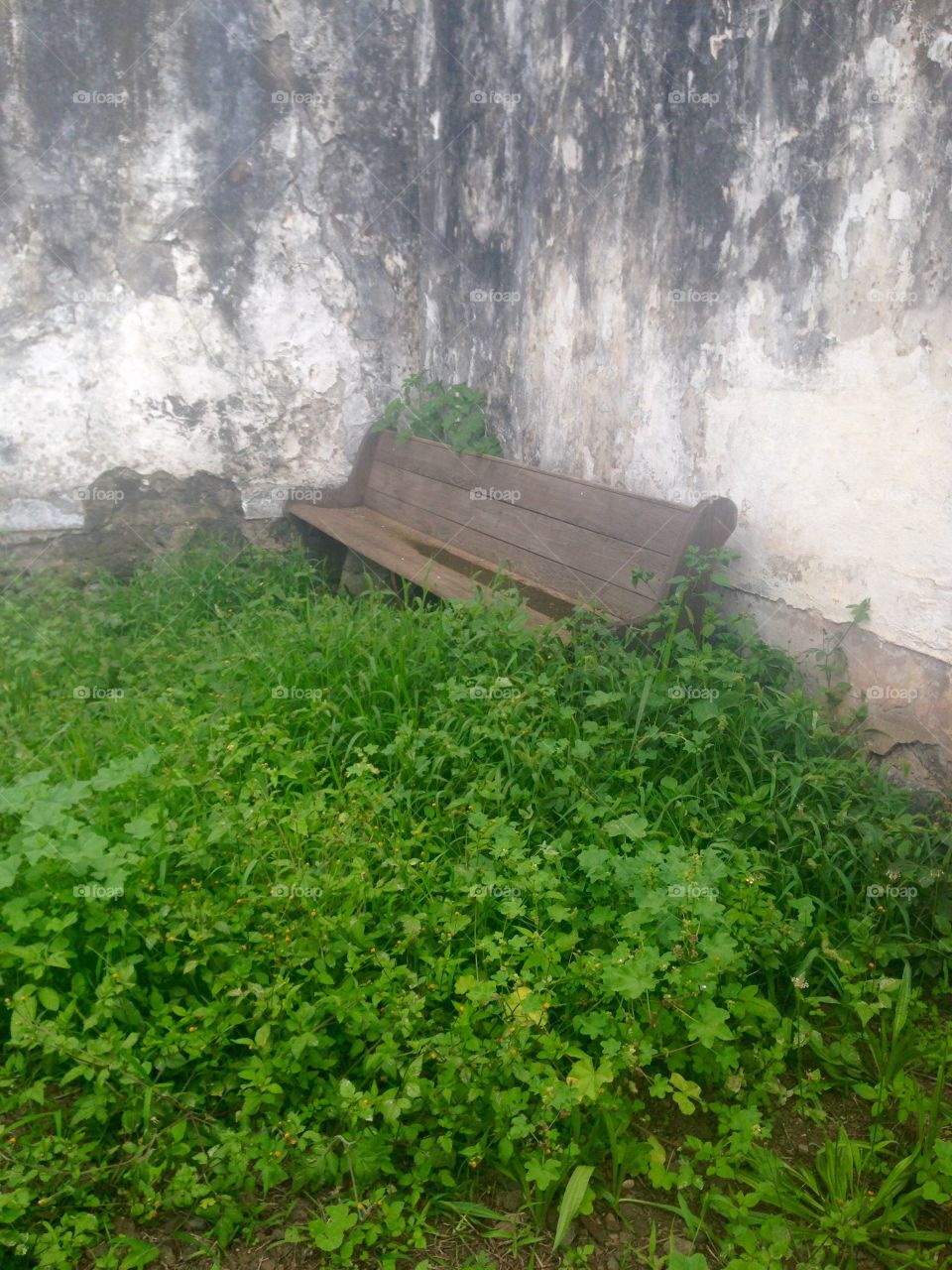 Church pew in ruin. An old church pew outdoors in a historical church in Maui