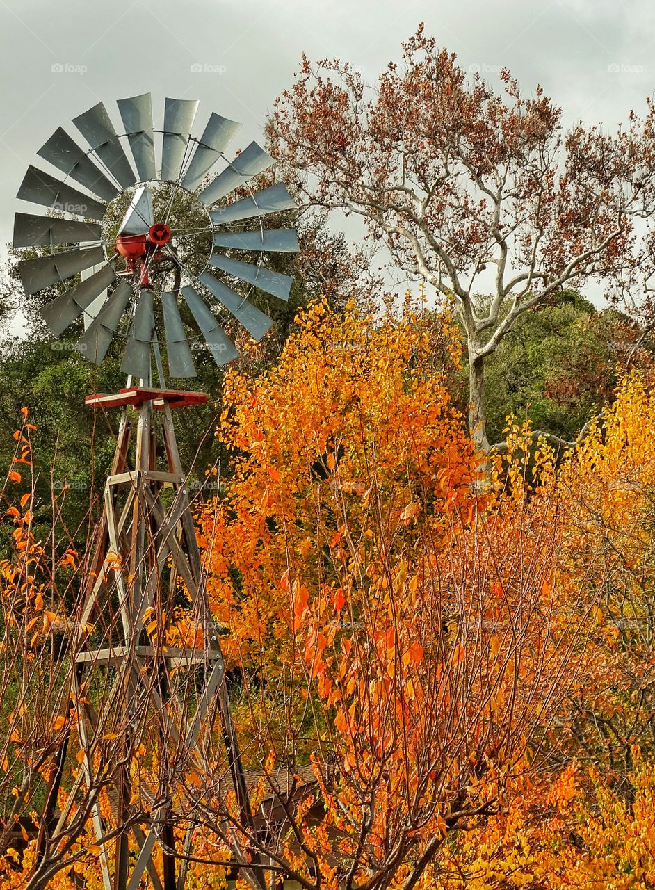 View of water pumping windmill with autumn trees