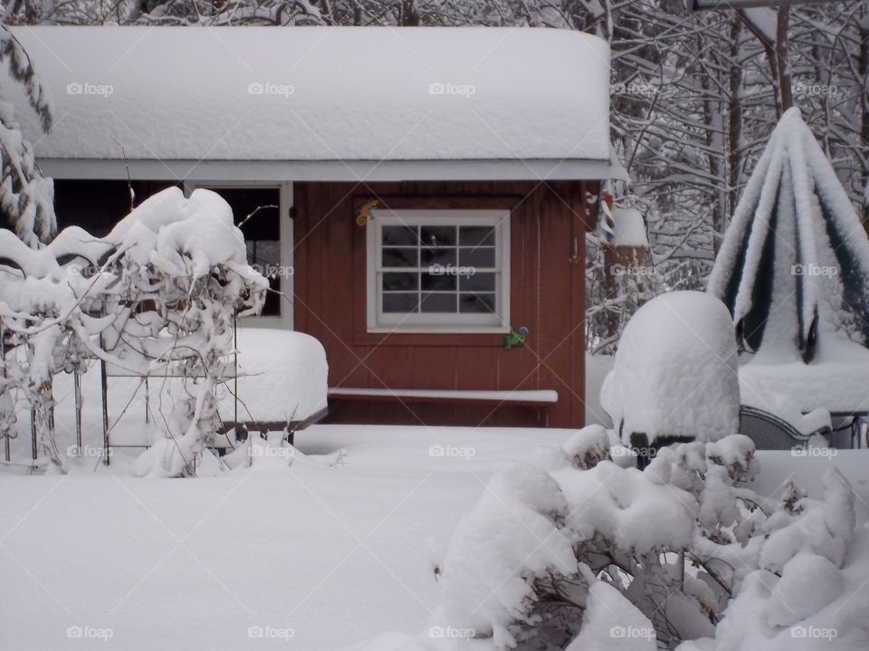 Back yard in snow