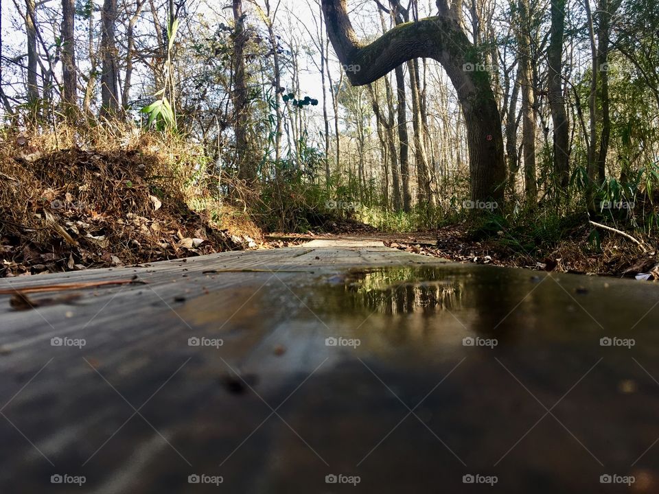 Getting down to puddle level