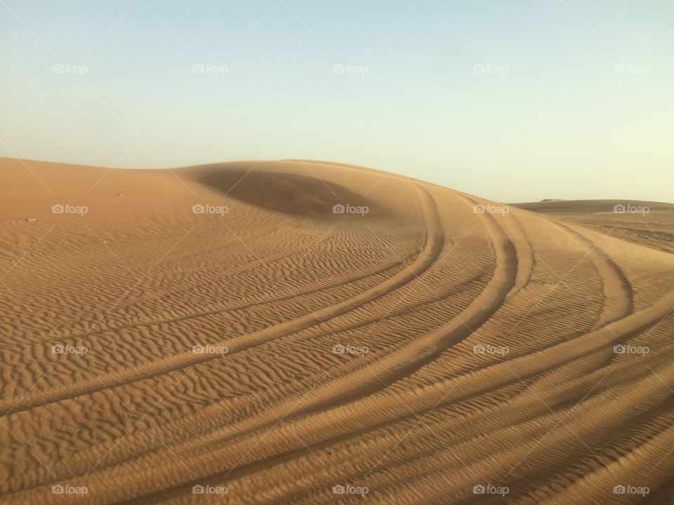 Desert Safari in the Sand Dunes