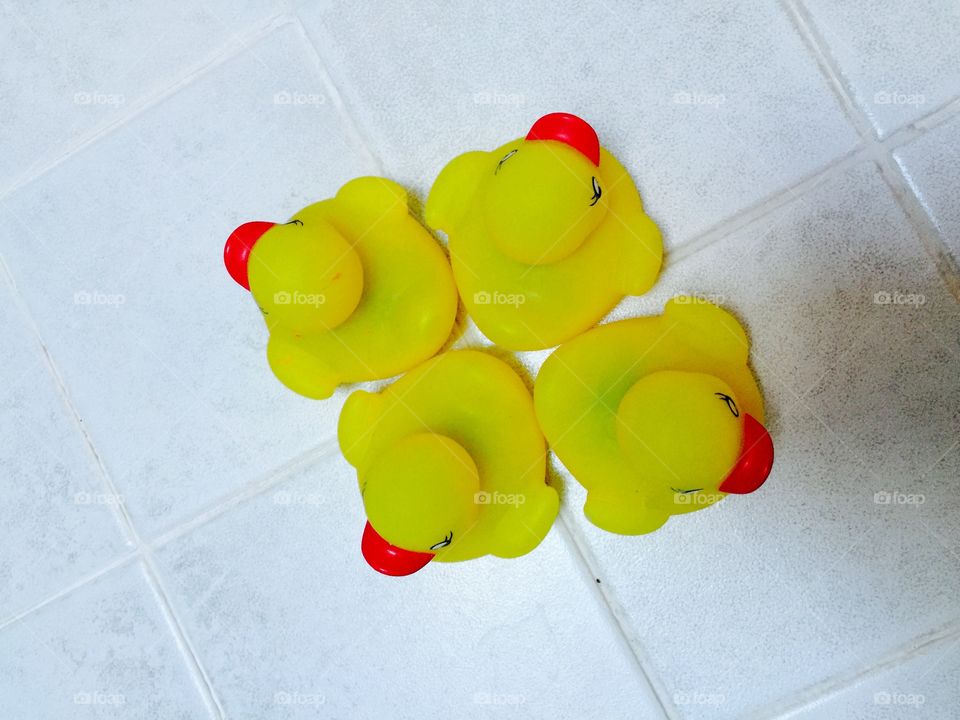 My ducks