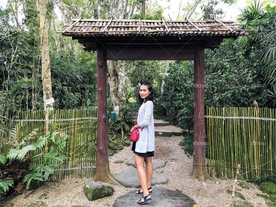 welcome in to jungle.