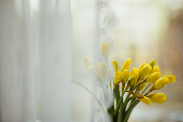 Yellow flowers 💐